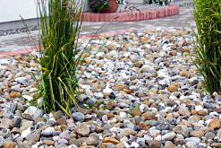 Markkomplettering
